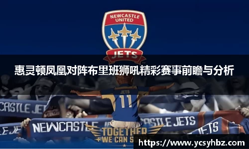 惠灵顿凤凰对阵布里班狮吼精彩赛事前瞻与分析